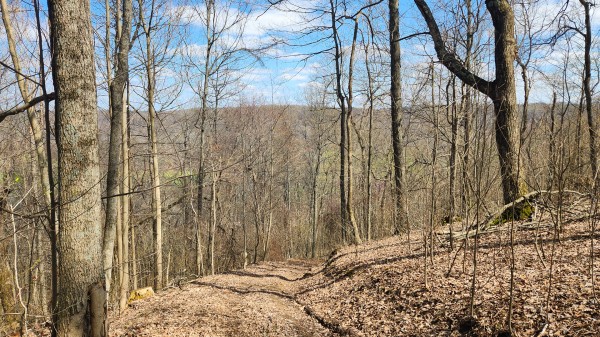 Tract 4 - Pike Lake Getaway property photo