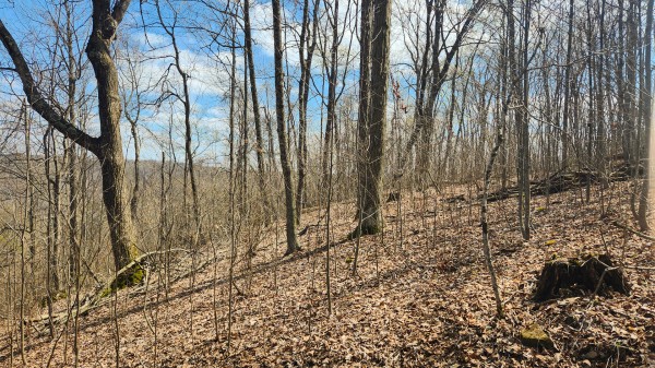 Tract 4 - Pike Lake Getaway property photo