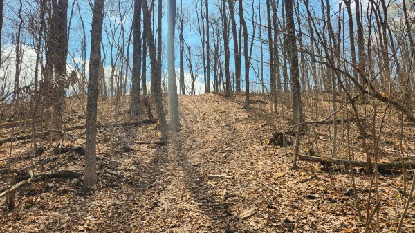 Tract 4 - Pike Lake Getaway property photo