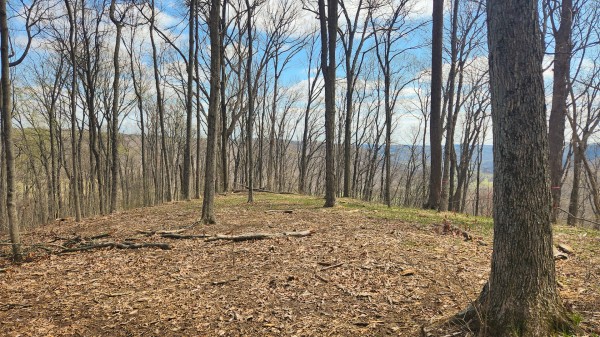 Tract 4 - Pike Lake Getaway property photo