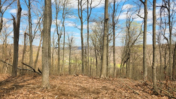Tract 4 - Pike Lake Getaway property photo