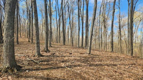 Tract 4 - Pike Lake Getaway property photo
