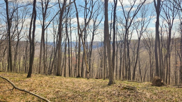 Tract 4 - Pike Lake Getaway property photo