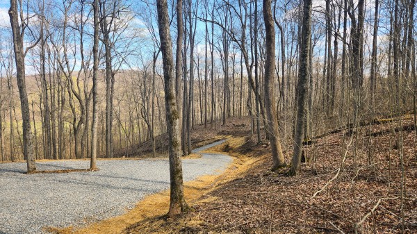 More of Tract 4 - Pike Lake Getaway