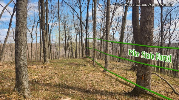 Tract 4 - Pike Lake Getaway property photo