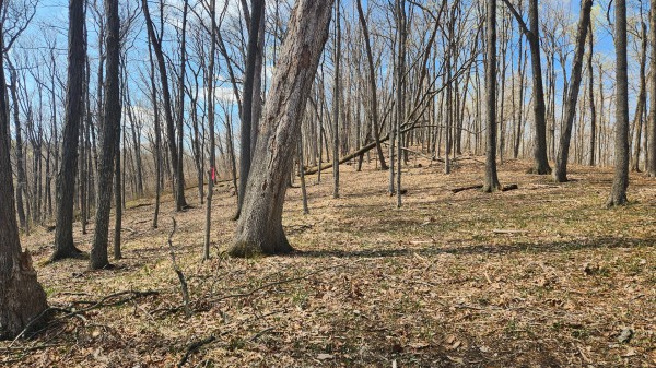 Tract 4 - Pike Lake Getaway property photo