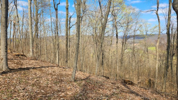Tract 4 - Pike Lake Getaway property photo