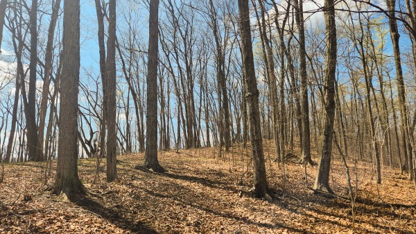 Tract 4 - Pike Lake Getaway property photo