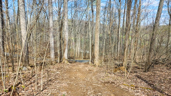 More of Tract 4 - Pike Lake Getaway