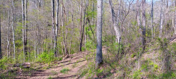 Tract 7 at Crown Wildlife Retreat property photo