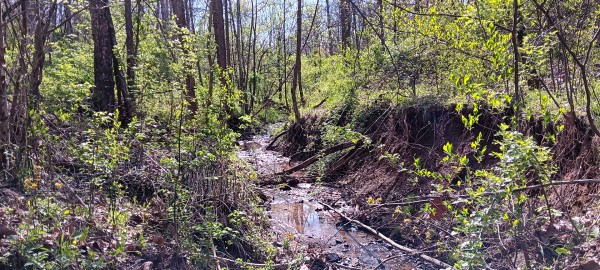 Tract 7 at Crown Wildlife Retreat property photo