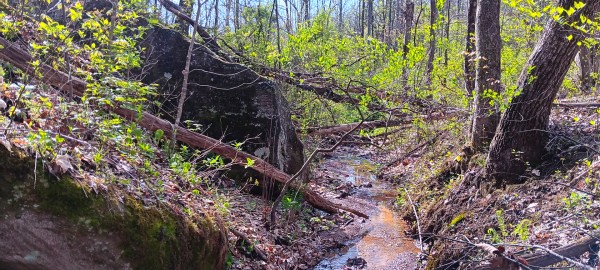 Tract 7 at Crown Wildlife Retreat property photo