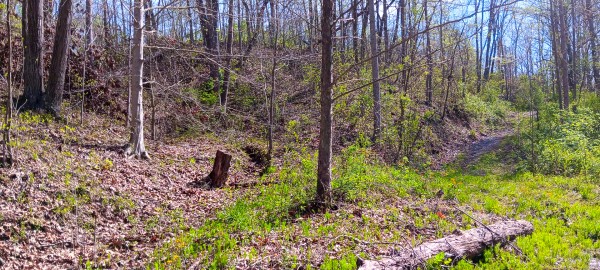 Tract 7 at Crown Wildlife Retreat property photo