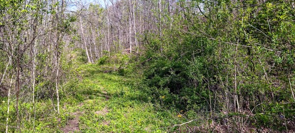Tract 7 at Crown Wildlife Retreat property photo