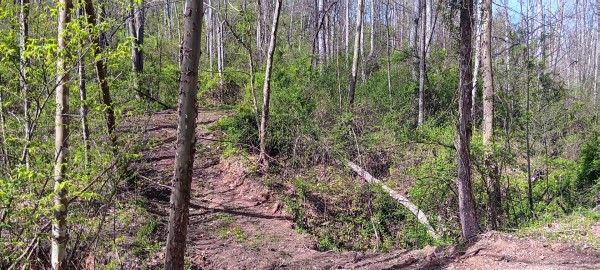 Tract 7 at Crown Wildlife Retreat property photo
