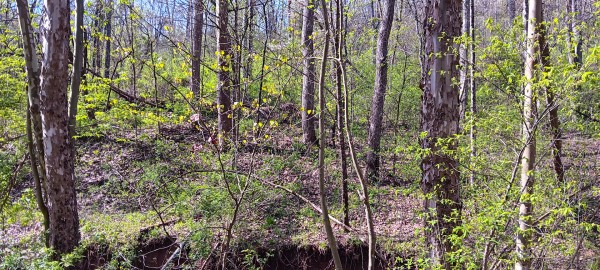 Tract 7 at Crown Wildlife Retreat property photo