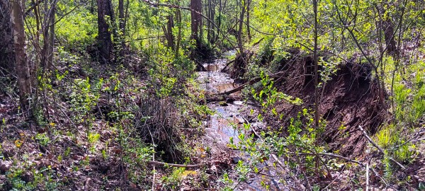 Tract 7 at Crown Wildlife Retreat property photo