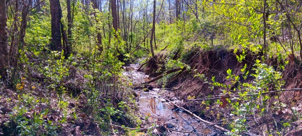 Tract 7 at Crown Wildlife Retreat property photo