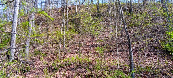 Tract 7 at Crown Wildlife Retreat property photo