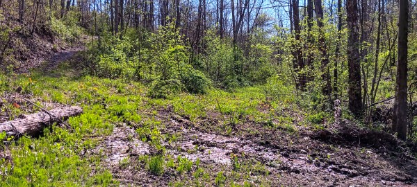 Tract 7 at Crown Wildlife Retreat property photo