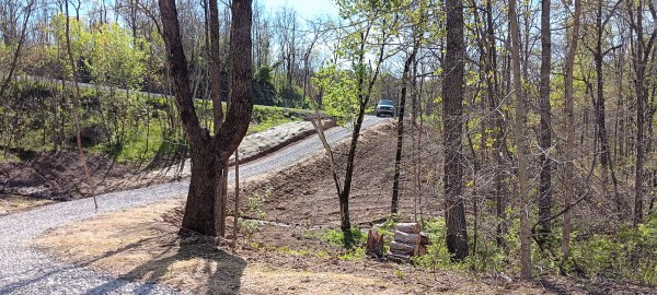 More of Tract 7 at Crown Wildlife Retreat