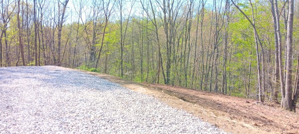 More of Tract 7 at Crown Wildlife Retreat