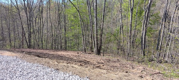 More of Tract 7 at Crown Wildlife Retreat