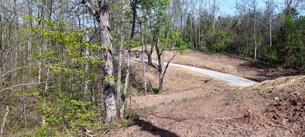 Tract 7 at Crown Wildlife Retreat property photo