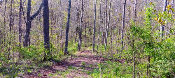 Tract 7 at Crown Wildlife Retreat property photo