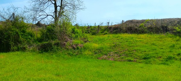 Tract 5 at Crown Wildlife Retreat property photo