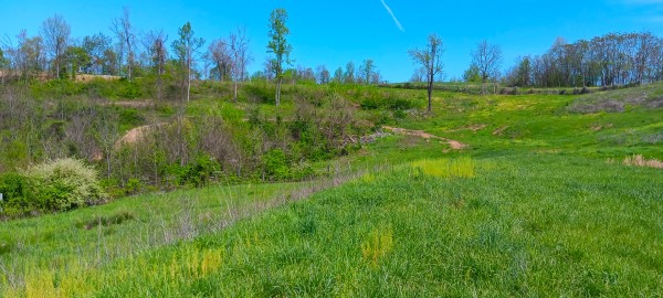 Tract 5 at Crown Wildlife Retreat property photo