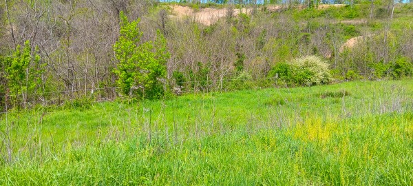 Tract 5 at Crown Wildlife Retreat property photo