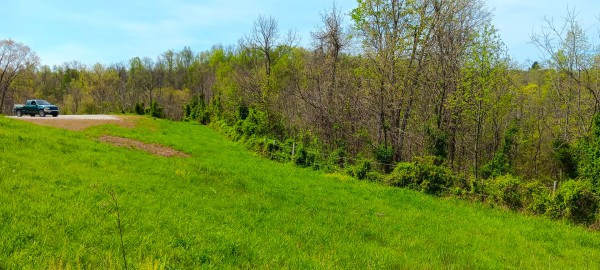Tract 5 at Crown Wildlife Retreat property photo