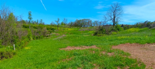 Tract 5 at Crown Wildlife Retreat property photo