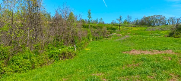 Tract 5 at Crown Wildlife Retreat property photo