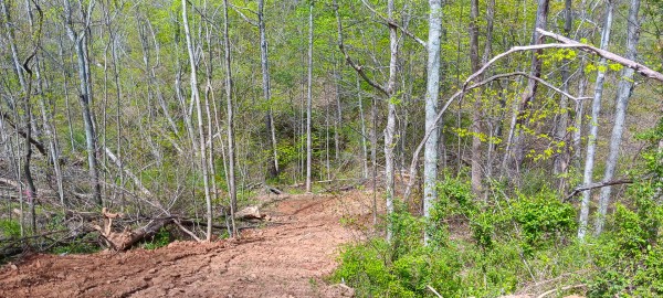 Tract 5 at Crown Wildlife Retreat property photo