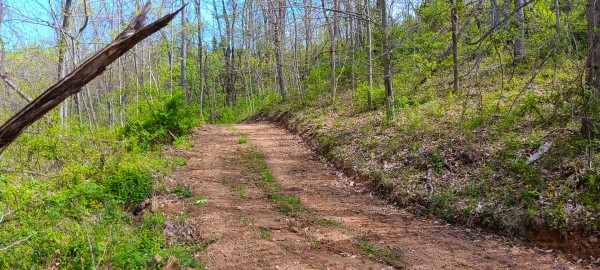 Tract 5 at Crown Wildlife Retreat property photo