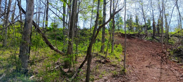 Tract 5 at Crown Wildlife Retreat property photo