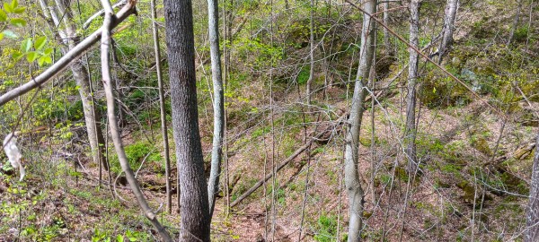 Tract 5 at Crown Wildlife Retreat property photo