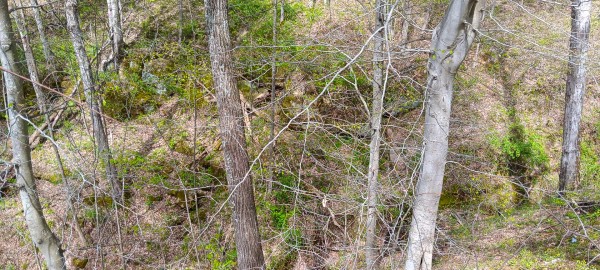 Tract 5 at Crown Wildlife Retreat property photo
