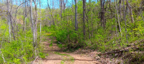 Tract 5 at Crown Wildlife Retreat property photo