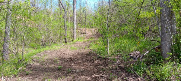 Tract 5 at Crown Wildlife Retreat property photo
