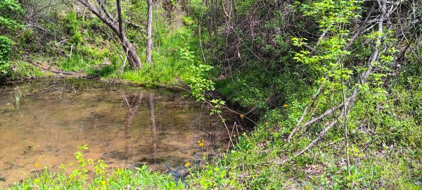 Tract 5 at Crown Wildlife Retreat property photo