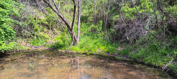 Tract 5 at Crown Wildlife Retreat property photo