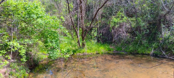 Tract 5 at Crown Wildlife Retreat property photo