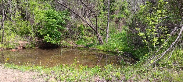 Tract 5 at Crown Wildlife Retreat property photo