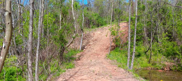 Tract 5 at Crown Wildlife Retreat property photo