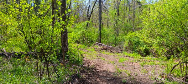 Tract 5 at Crown Wildlife Retreat property photo