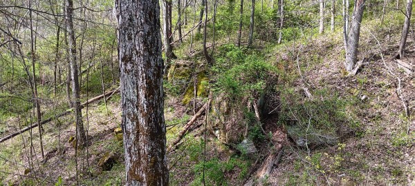 Tract 5 at Crown Wildlife Retreat property photo