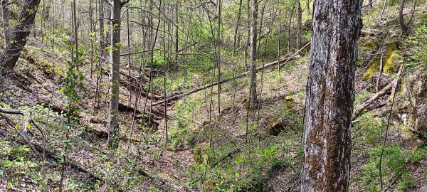 Tract 5 at Crown Wildlife Retreat property photo